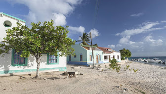 second-section-img-1